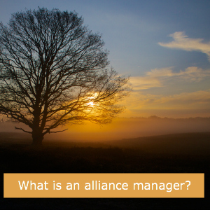 CBP28 - What is an Alliance Manager?